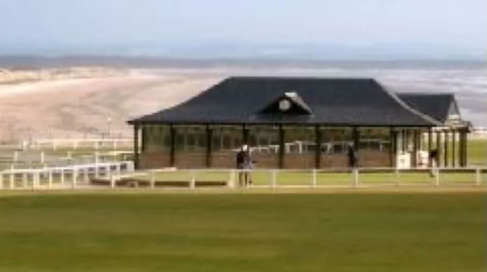 A pavilion with a dark roof and open sides on a grassy area near a beach.